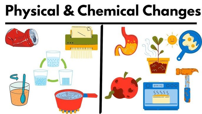 Physical and Chemical changes