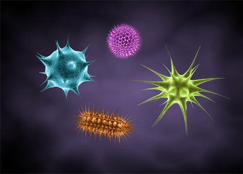 Microorganisms