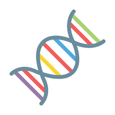 DNA and its structure